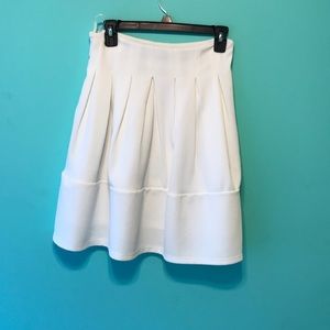 long, business skirt